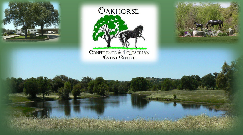 oakhorse2001001.jpg