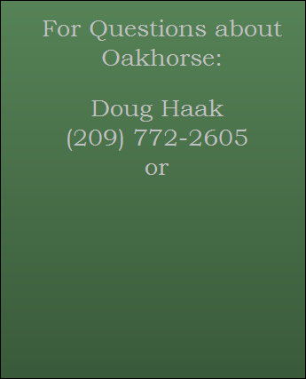 oakhorse2017001.jpg